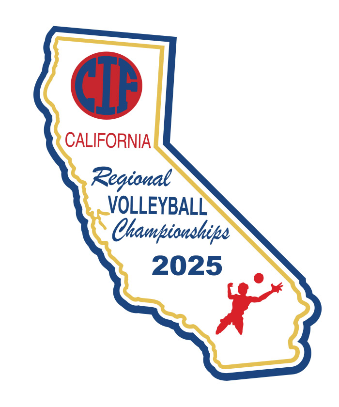 Volleyball Patch